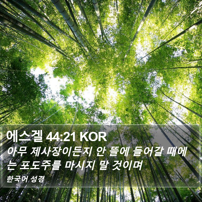 에스겔 44:21 KOR Bible Study