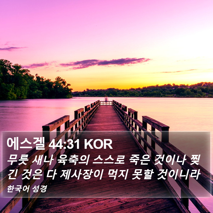 에스겔 44:31 KOR Bible Study