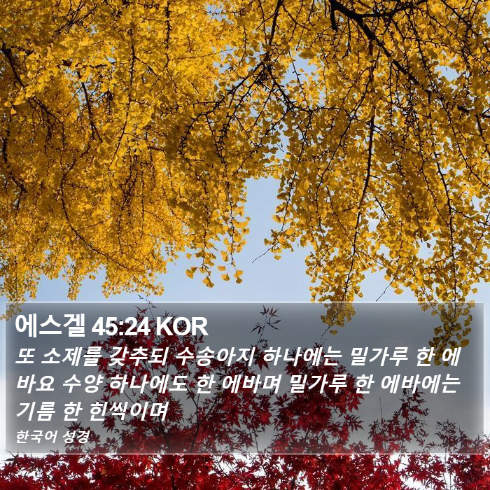 에스겔 45:24 KOR Bible Study