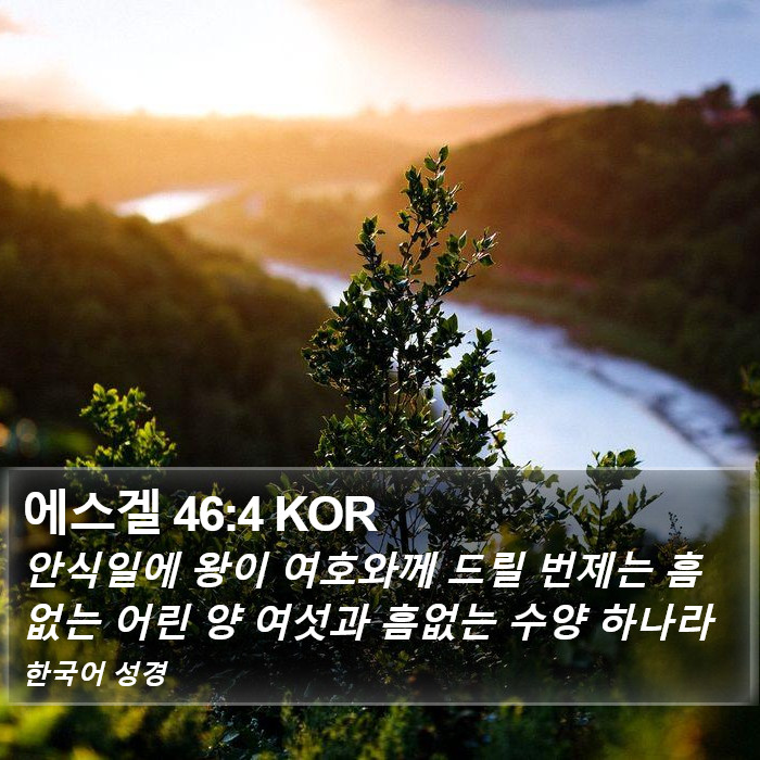 에스겔 46:4 KOR Bible Study