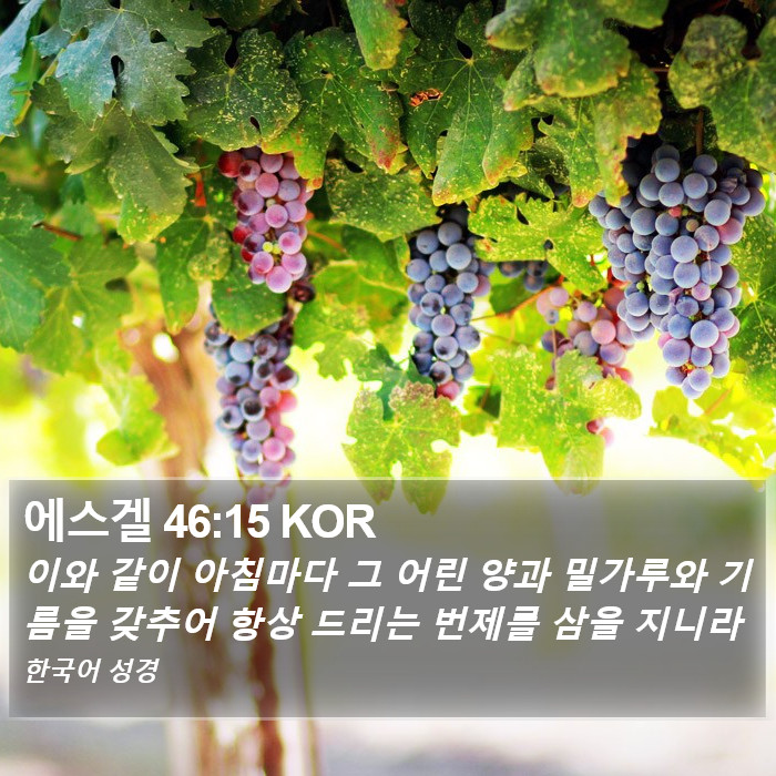 에스겔 46:15 KOR Bible Study