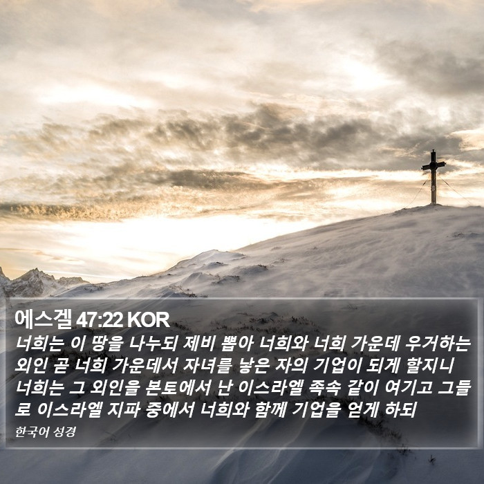 에스겔 47:22 KOR Bible Study