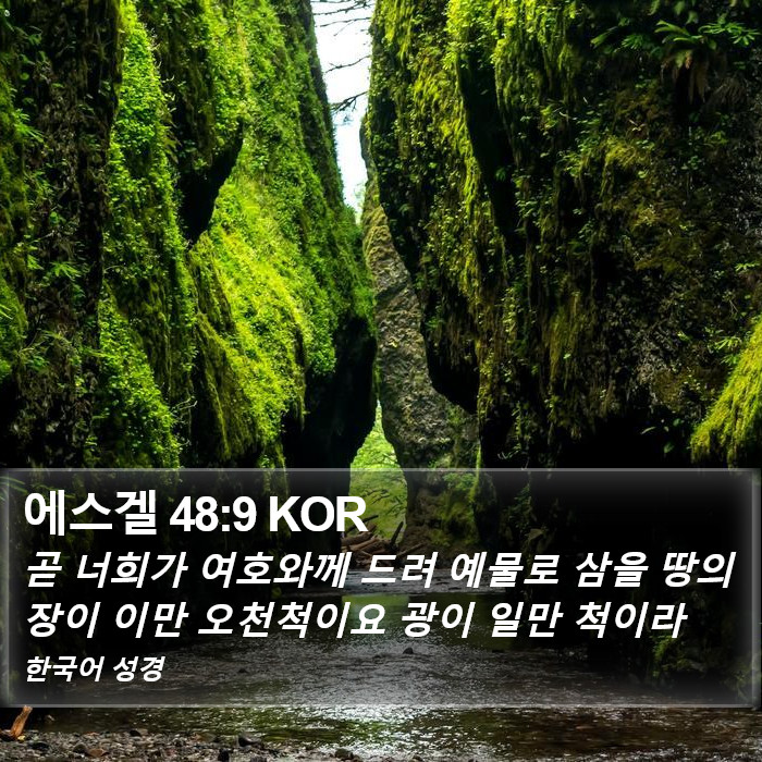 에스겔 48:9 KOR Bible Study