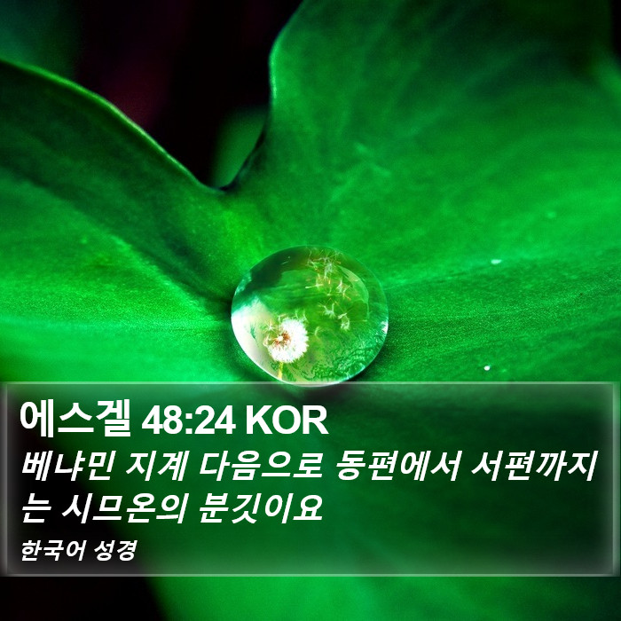 에스겔 48:24 KOR Bible Study