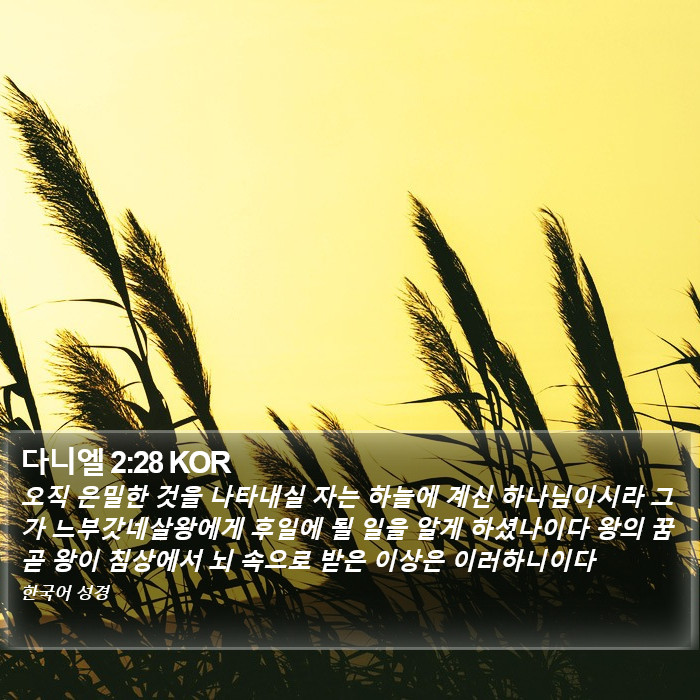 다니엘 2:28 KOR Bible Study