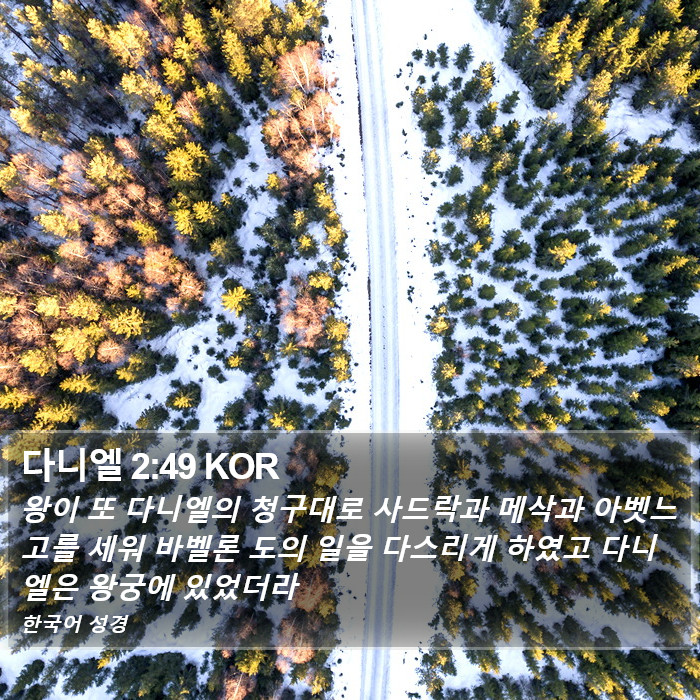 다니엘 2:49 KOR Bible Study