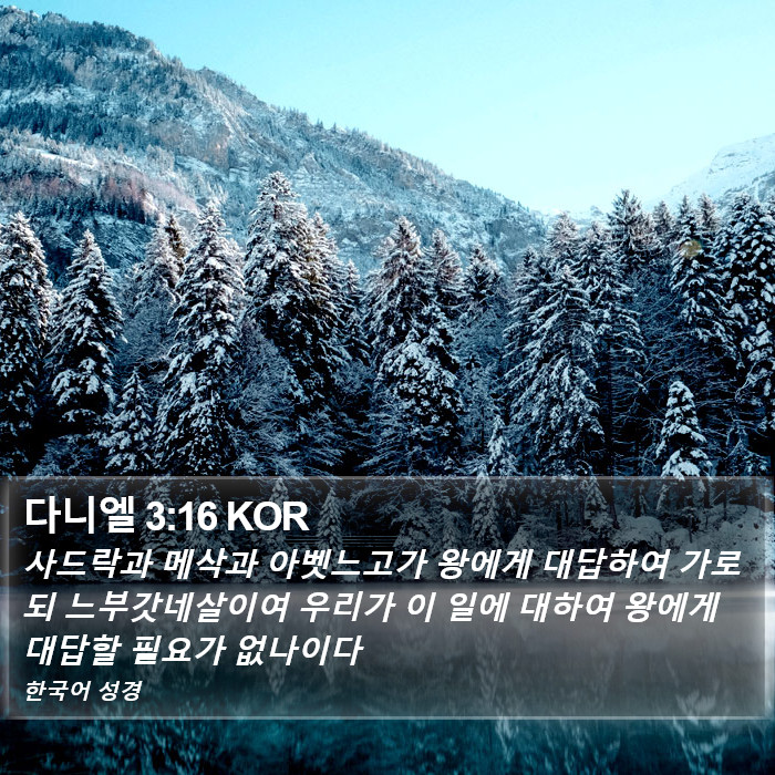 다니엘 3:16 KOR Bible Study