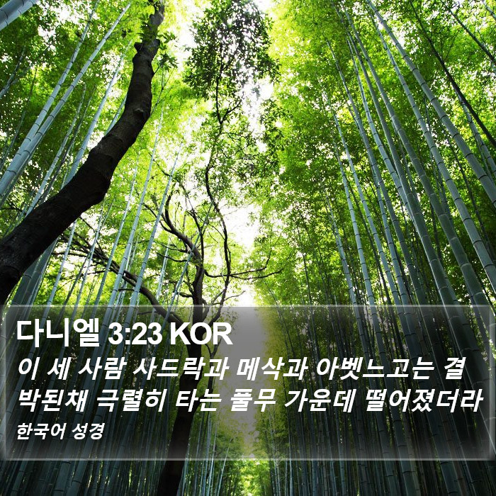 다니엘 3:23 KOR Bible Study