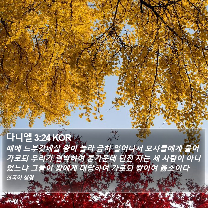 다니엘 3:24 KOR Bible Study