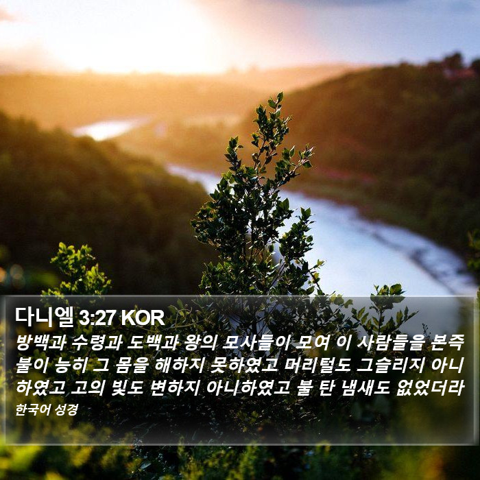 다니엘 3:27 KOR Bible Study