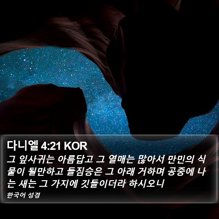 다니엘 4:21 KOR Bible Study