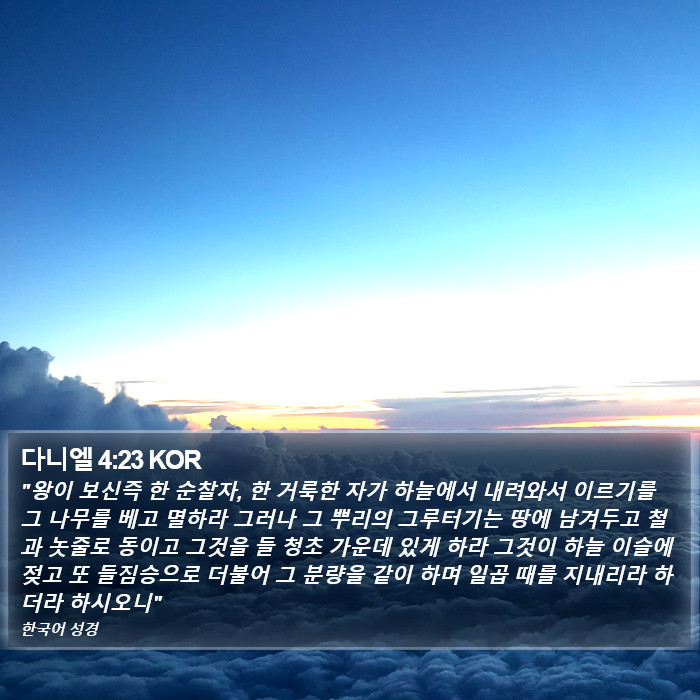 다니엘 4:23 KOR Bible Study