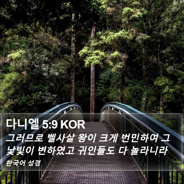 다니엘 5:9 KOR Bible Study