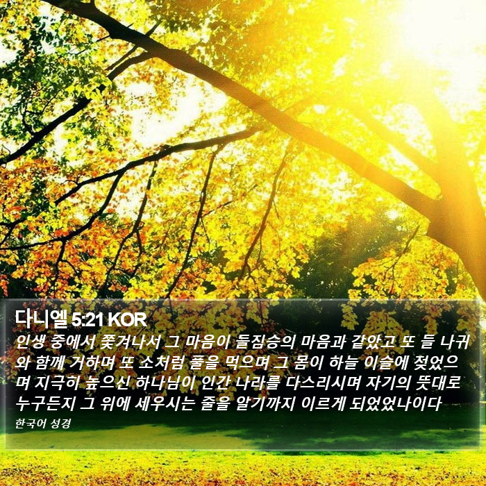 다니엘 5:21 KOR Bible Study