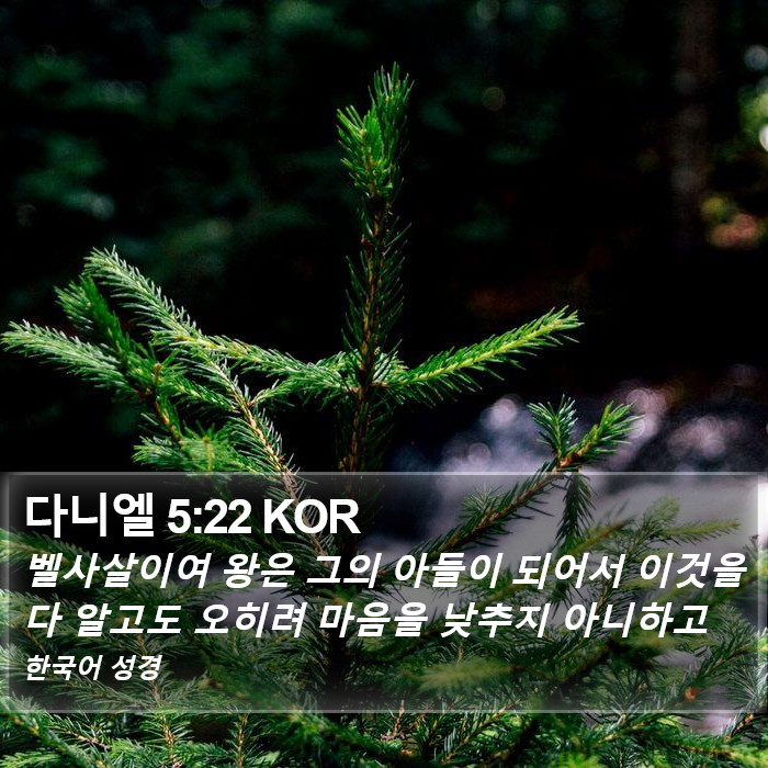 다니엘 5:22 KOR Bible Study