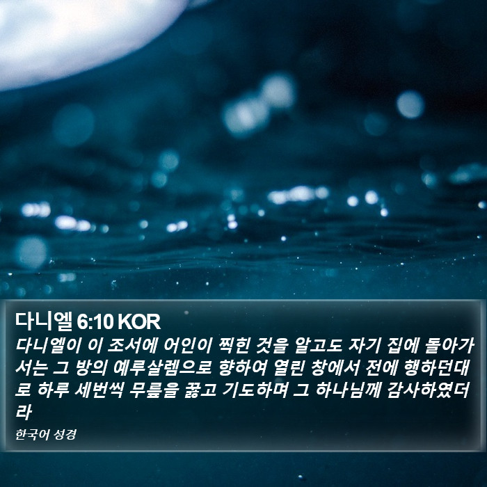 다니엘 6:10 KOR Bible Study