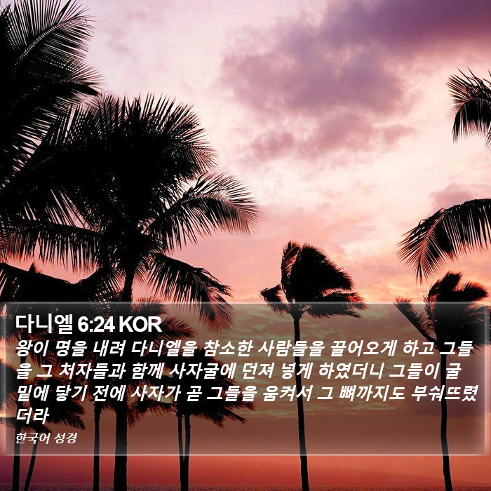 다니엘 6:24 KOR Bible Study