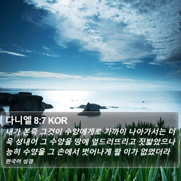 다니엘 8:7 KOR Bible Study