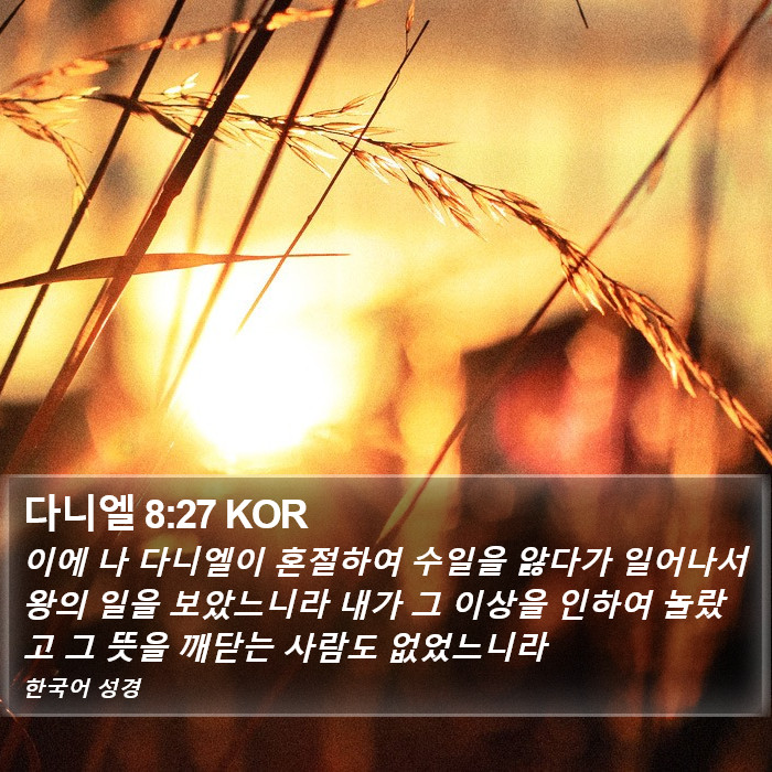 다니엘 8:27 KOR Bible Study