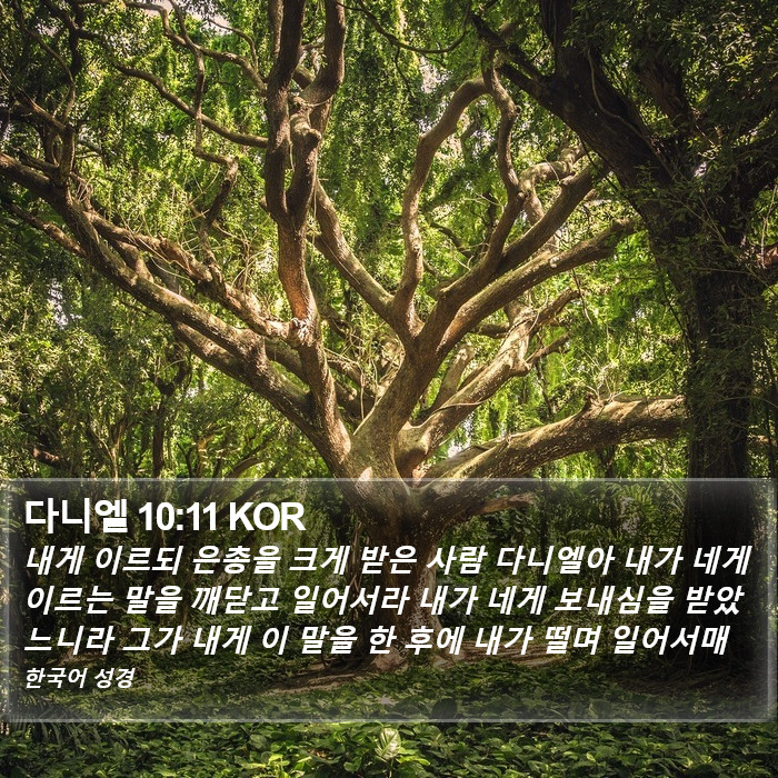 다니엘 10:11 KOR Bible Study