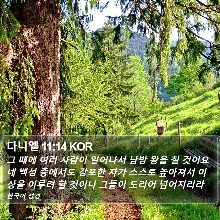 다니엘 11:14 KOR Bible Study