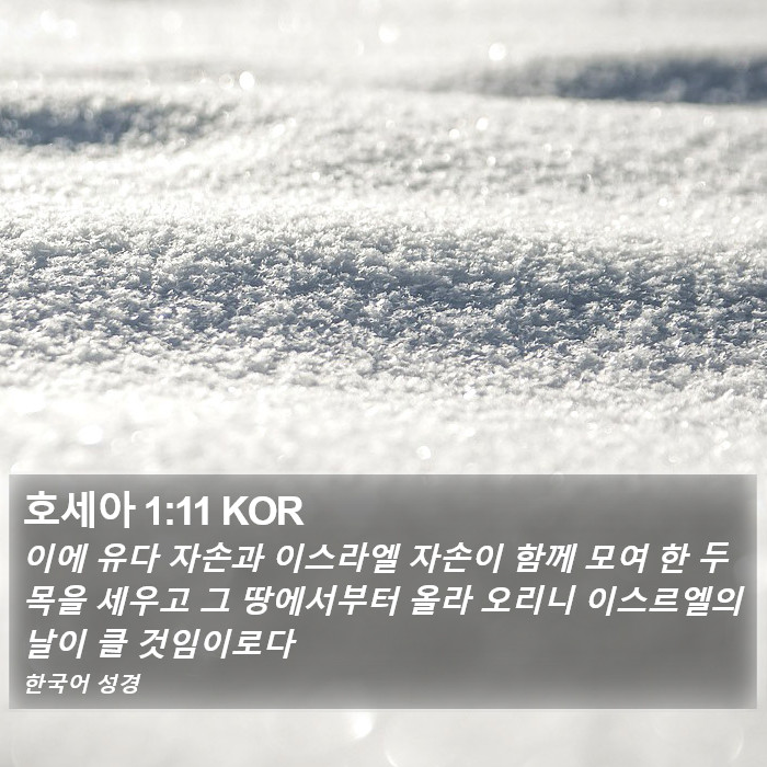 호세아 1:11 KOR Bible Study