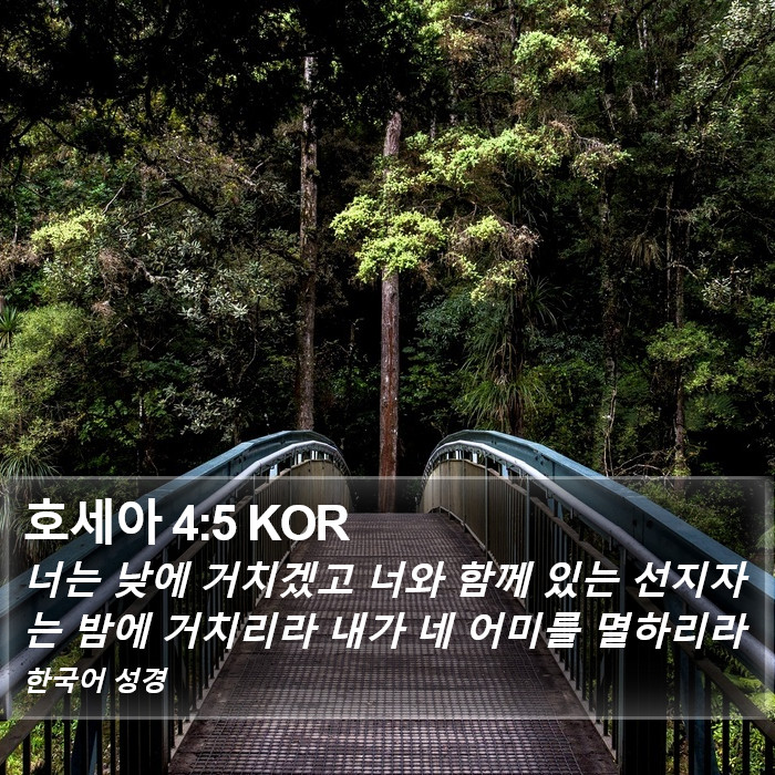 호세아 4:5 KOR Bible Study