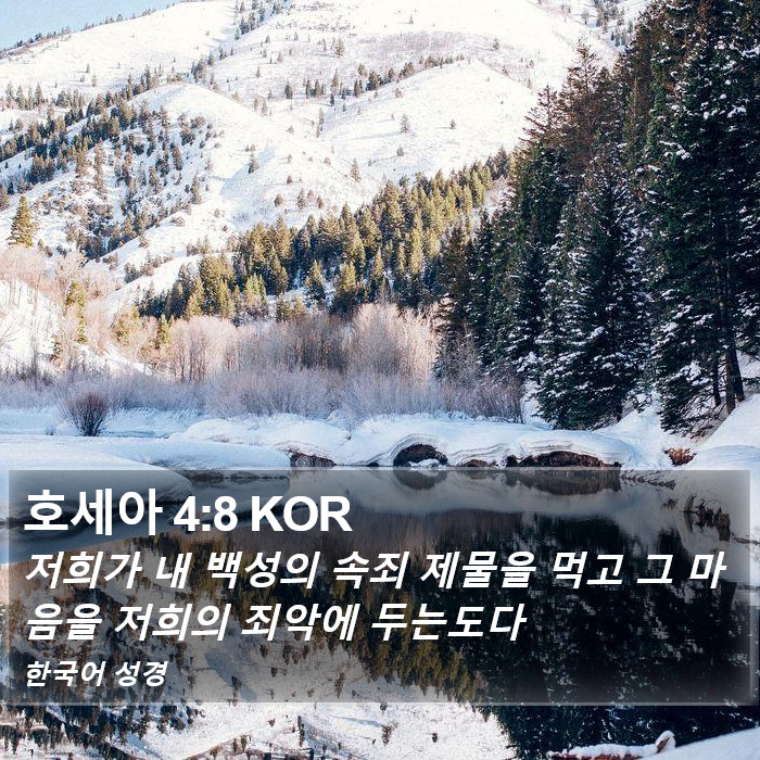 호세아 4:8 KOR Bible Study