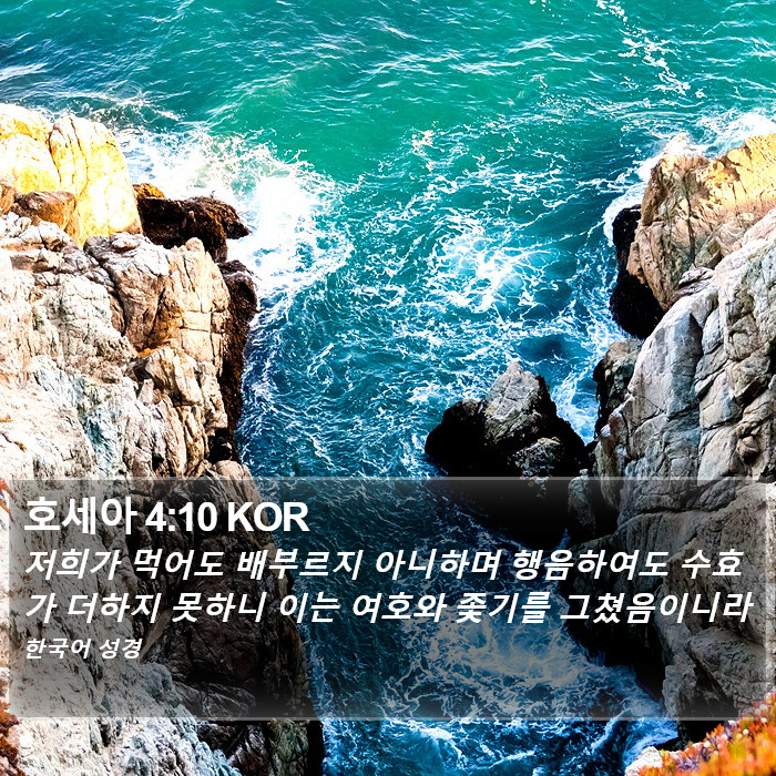 호세아 4:10 KOR Bible Study