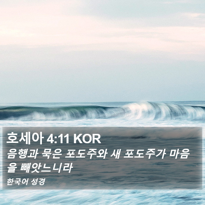 호세아 4:11 KOR Bible Study