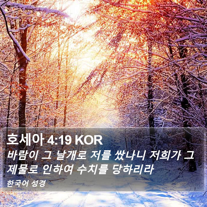 호세아 4:19 KOR Bible Study