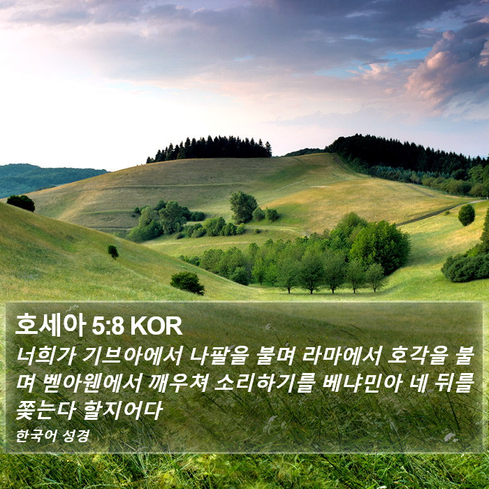 호세아 5:8 KOR Bible Study