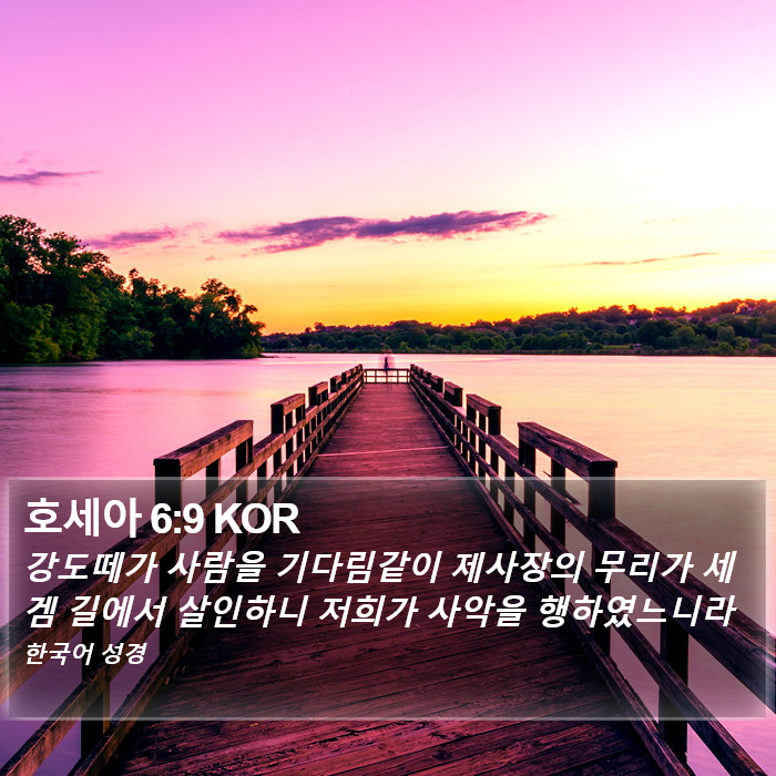 호세아 6:9 KOR Bible Study