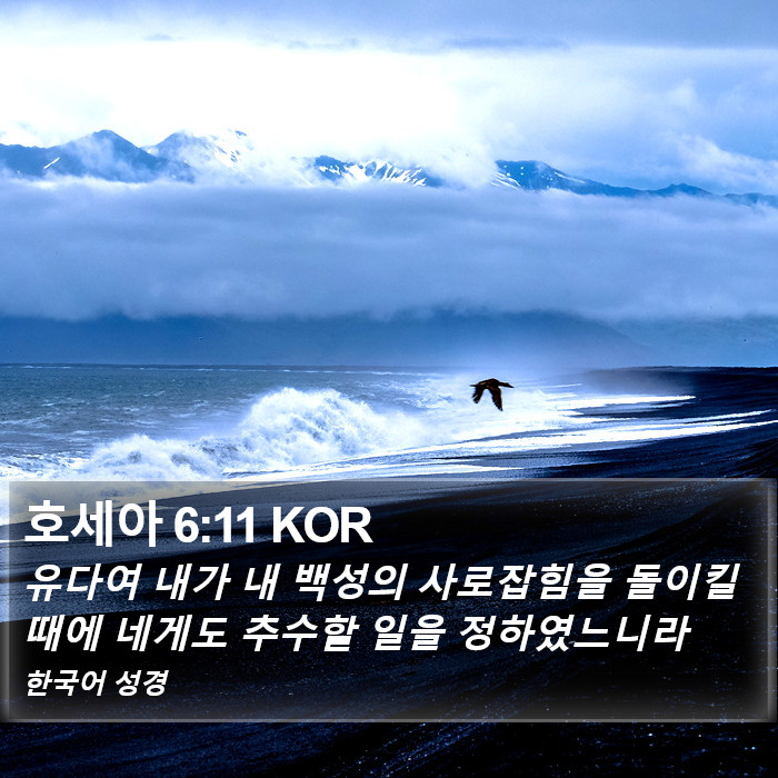 호세아 6:11 KOR Bible Study