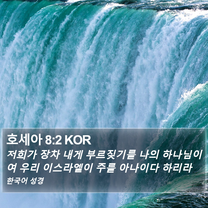 호세아 8:2 KOR Bible Study