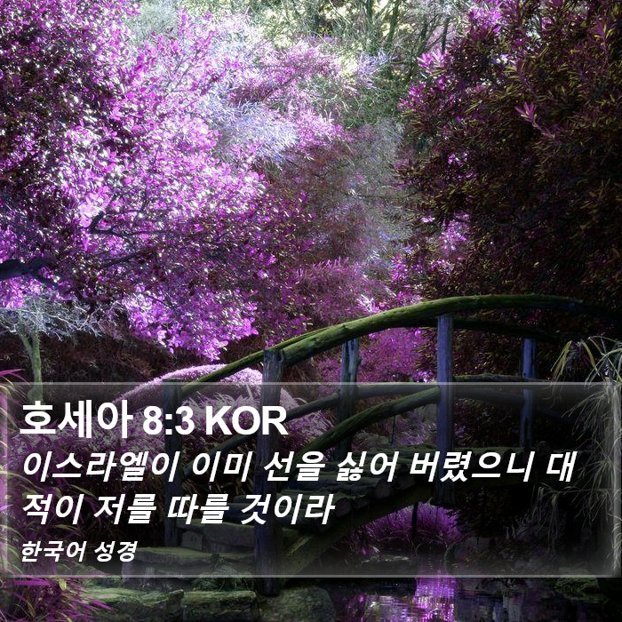 호세아 8:3 KOR Bible Study