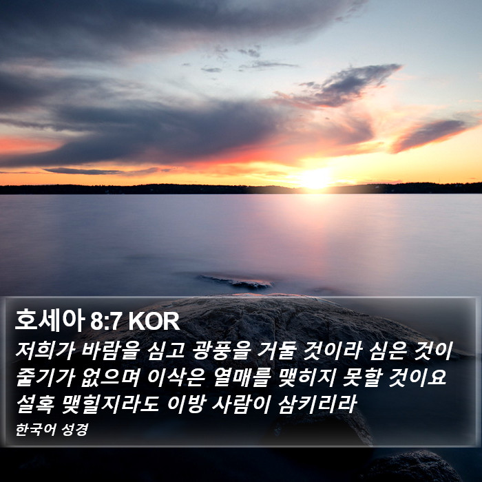 호세아 8:7 KOR Bible Study