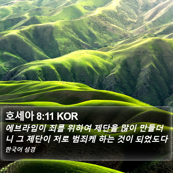 호세아 8:11 KOR Bible Study