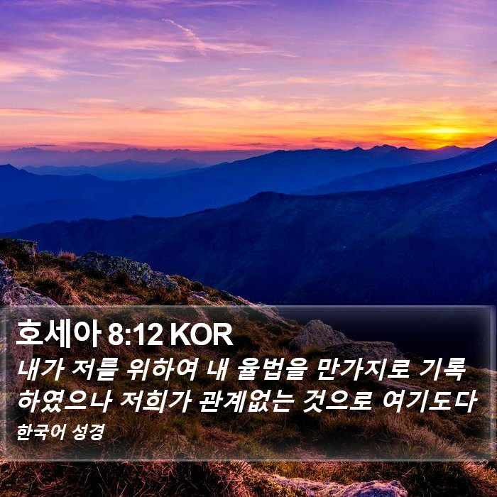 호세아 8:12 KOR Bible Study