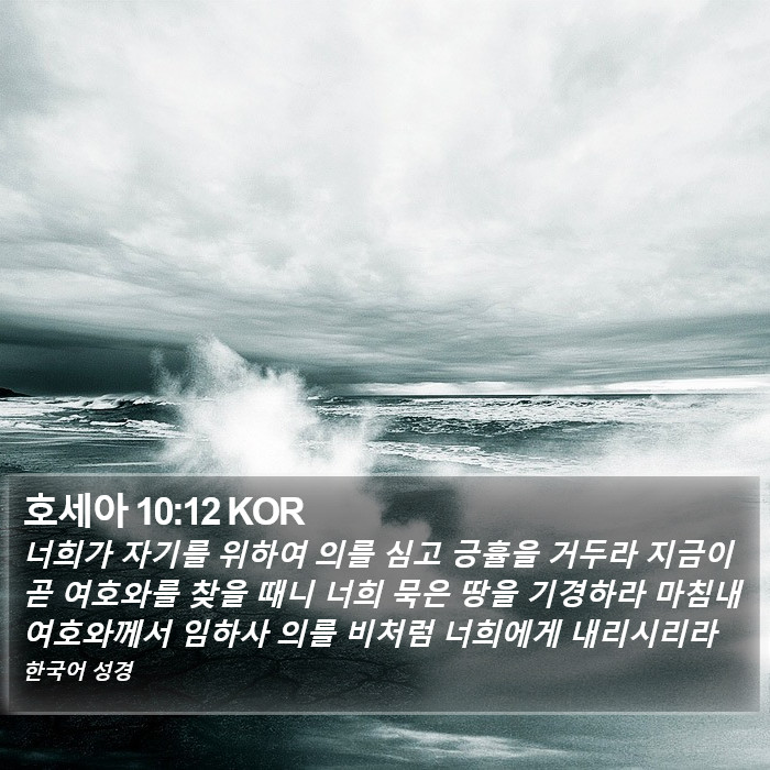 호세아 10:12 KOR Bible Study