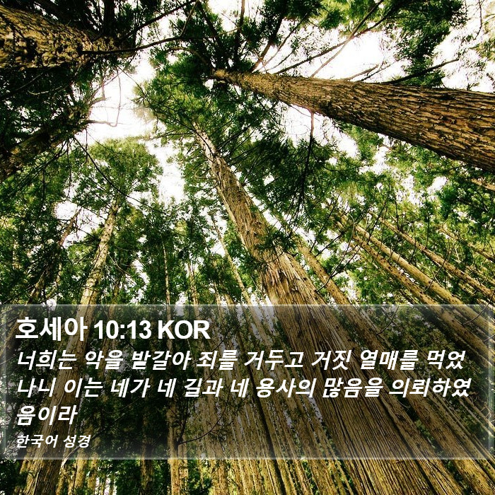 호세아 10:13 KOR Bible Study
