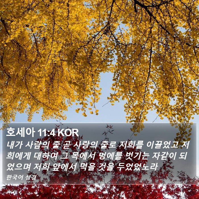 호세아 11:4 KOR Bible Study