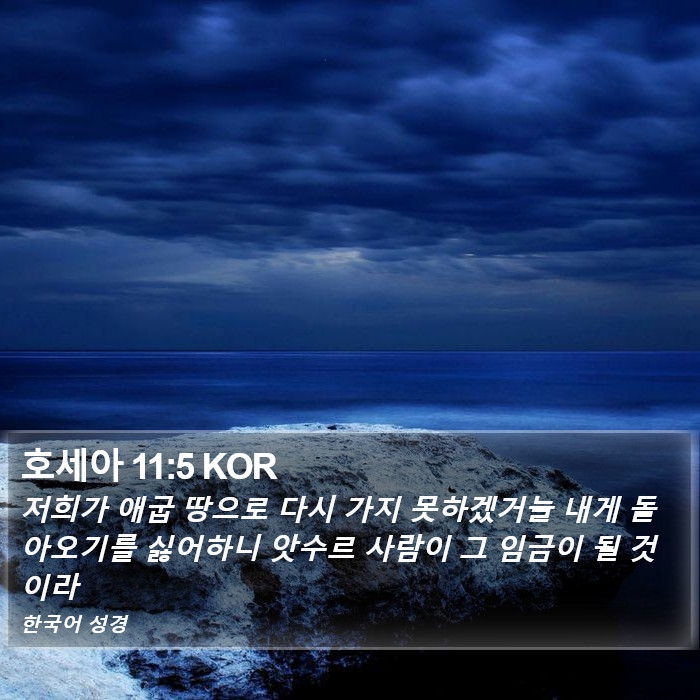 호세아 11:5 KOR Bible Study