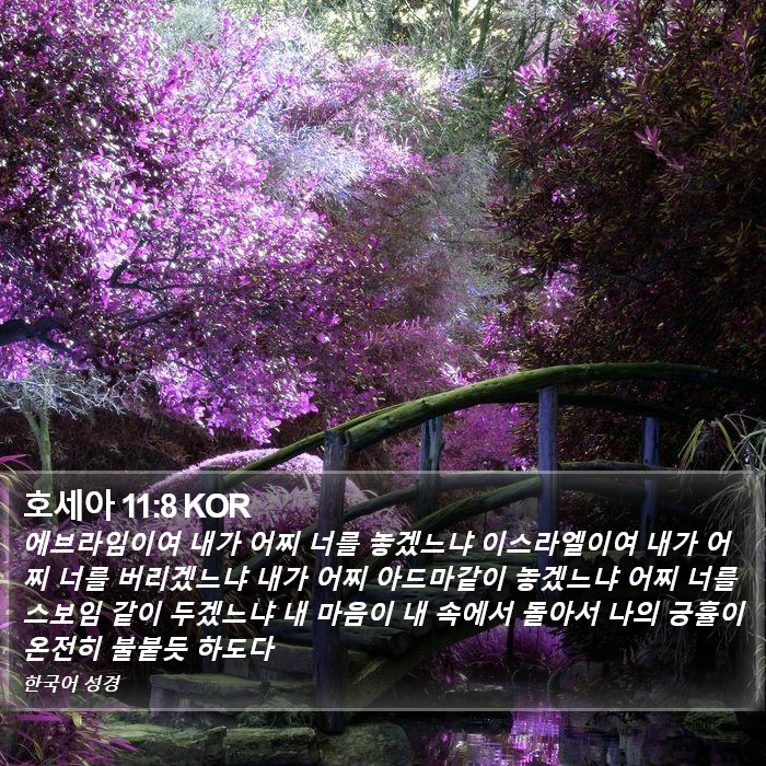 호세아 11:8 KOR Bible Study