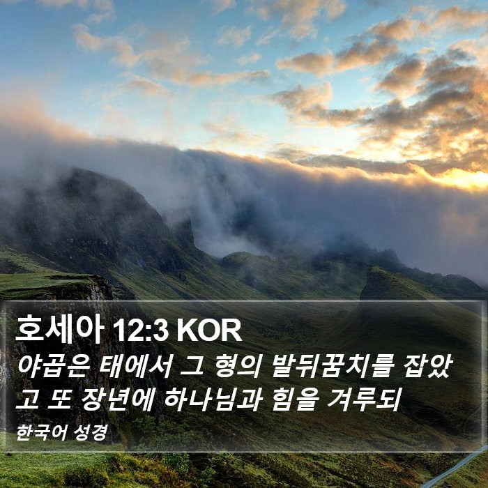 호세아 12:3 KOR Bible Study