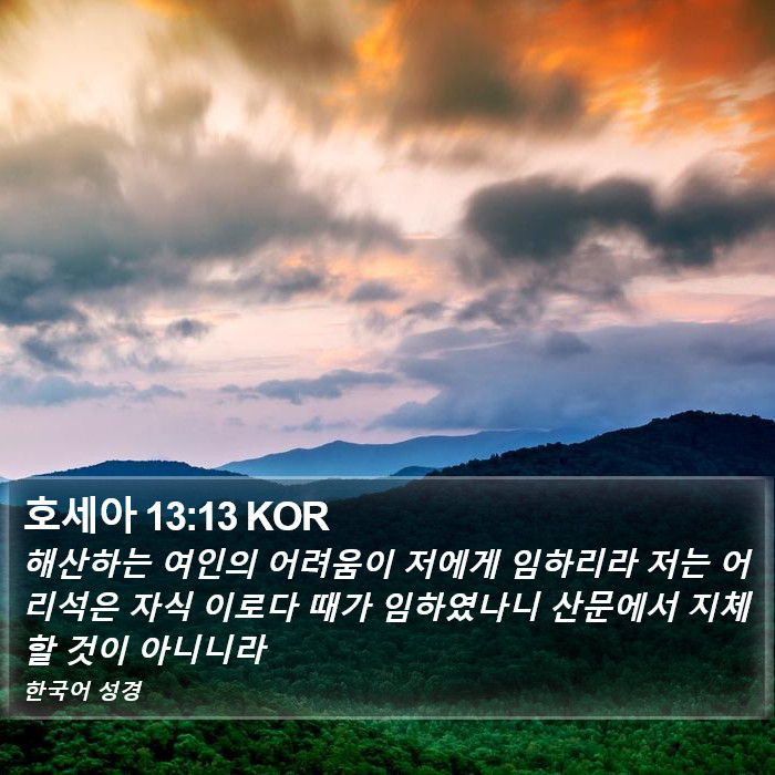 호세아 13:13 KOR Bible Study