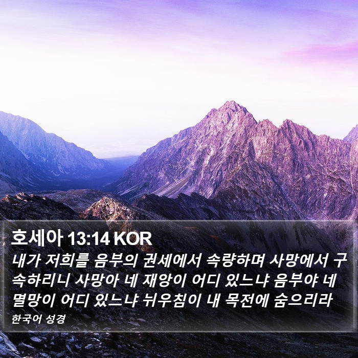 호세아 13:14 KOR Bible Study