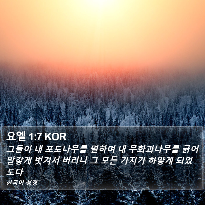 요엘 1:7 KOR Bible Study