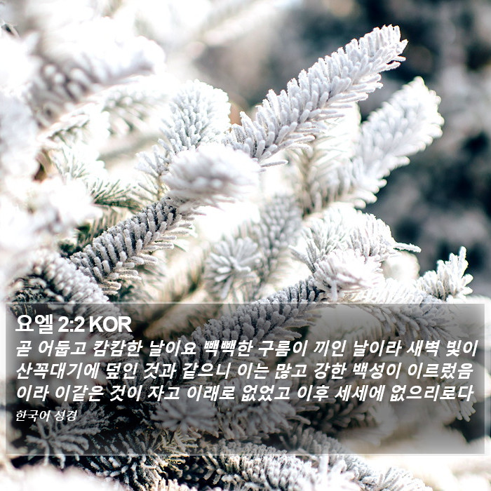 요엘 2:2 KOR Bible Study