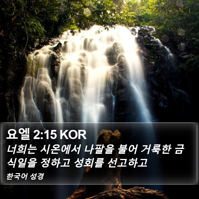 요엘 2:15 KOR Bible Study